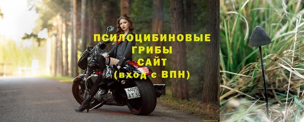 мет Арсеньев
